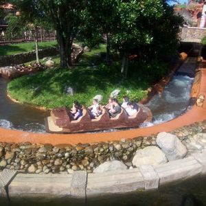 Meet your Posher, Dawne